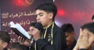 الطم شور