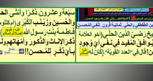 الشيخ-رضي-الدين-الحلي-يوافق-المفيد-في-نفي-المحسن